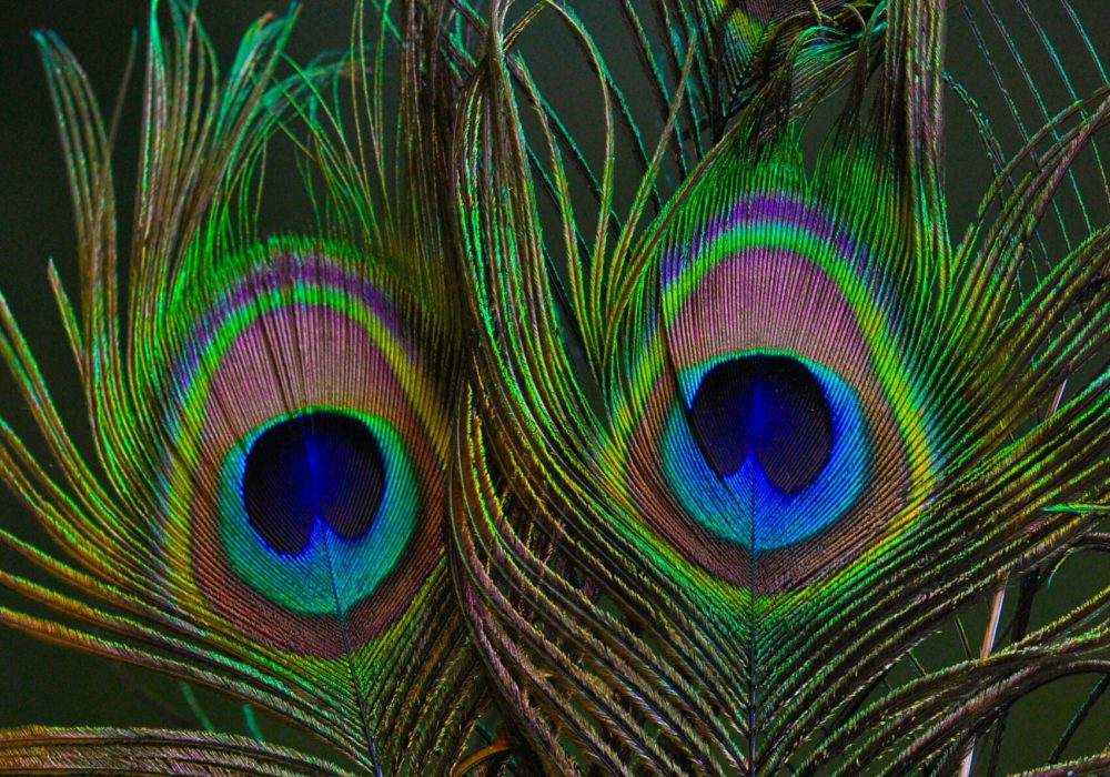 margaret-jaszowska-Ctw-NV4UeVc-unsplash