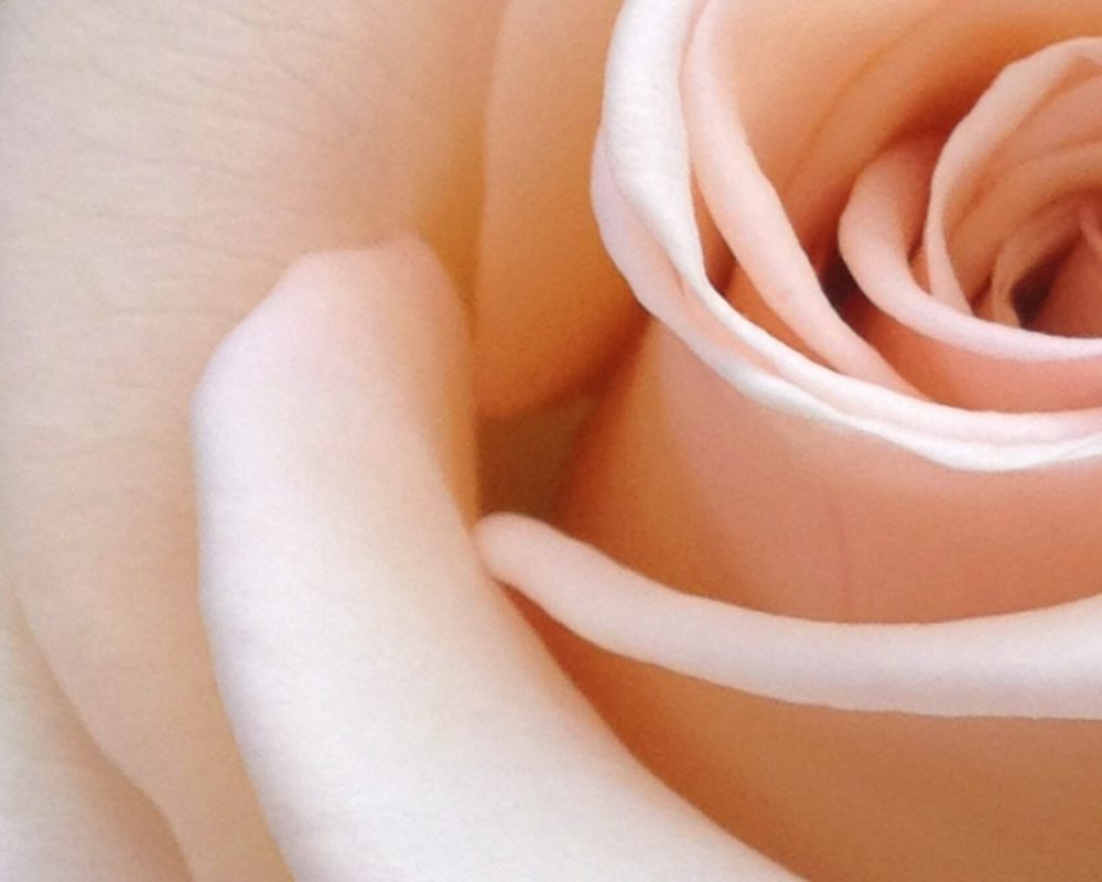 valerie-blanchett-iajkliejEiU-unsplash